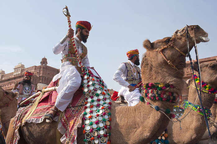 camel festival in india